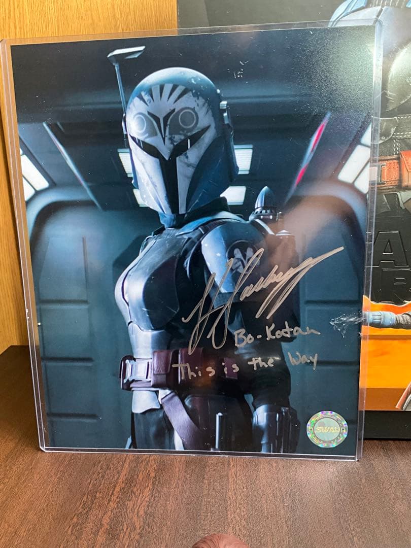 最終値下げ　hottoys ボカターン　ホットトイズ　SWAU サイン付