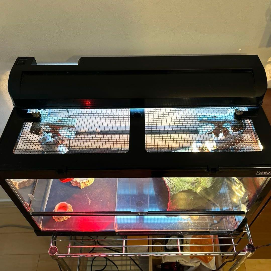 リクガメ】【トカゲ】爬虫類飼育ケージセット - メルカリ