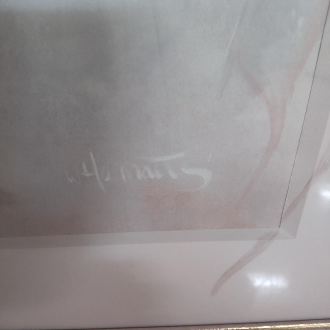 Willem Haenraetsウィリアムハーランツ ウィルムヘンラート