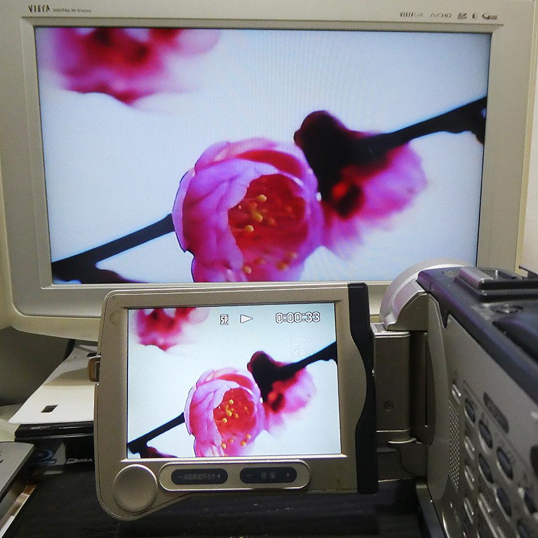 動作品ソニー DCR-TRV30 MiniDVビデオカメラ　DVDダビングに最適