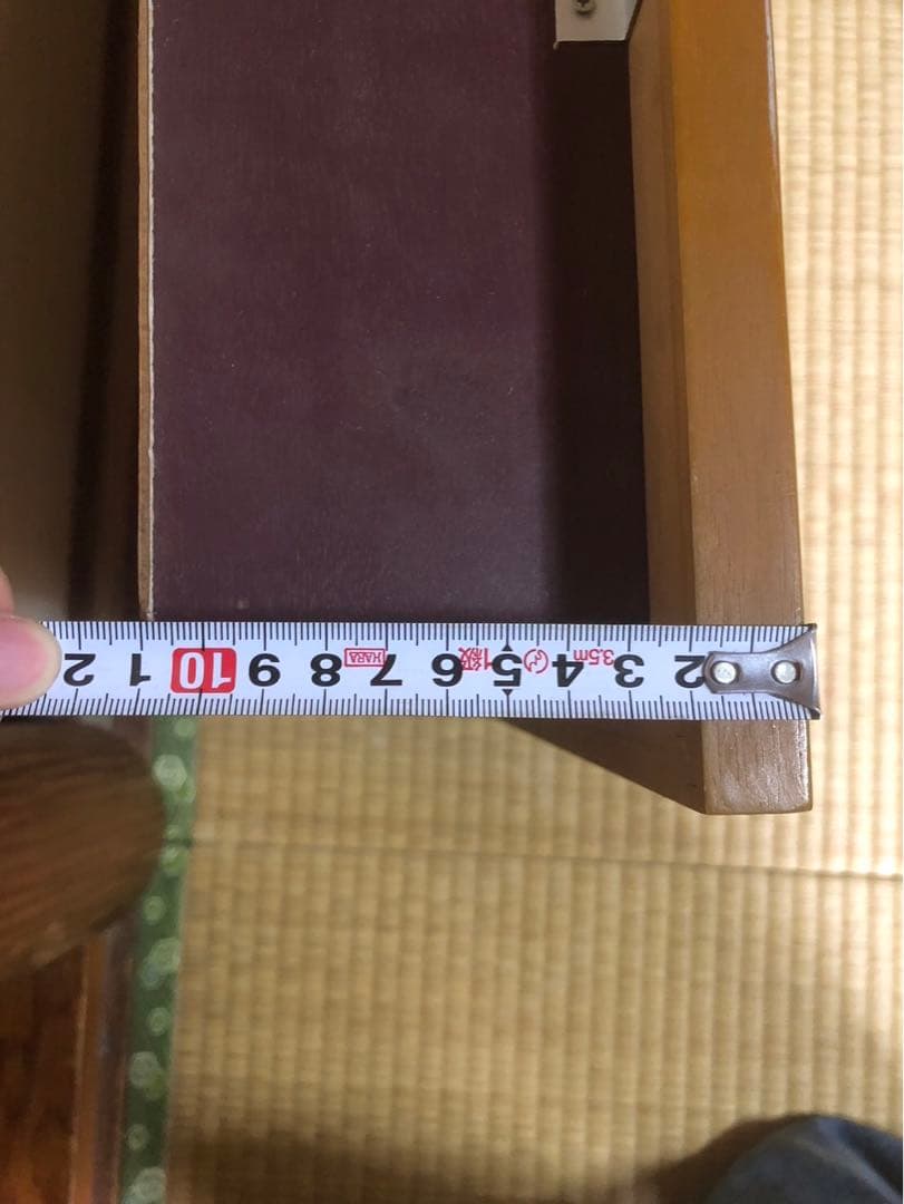 サクラマス 標本 剥製 フレーム入り