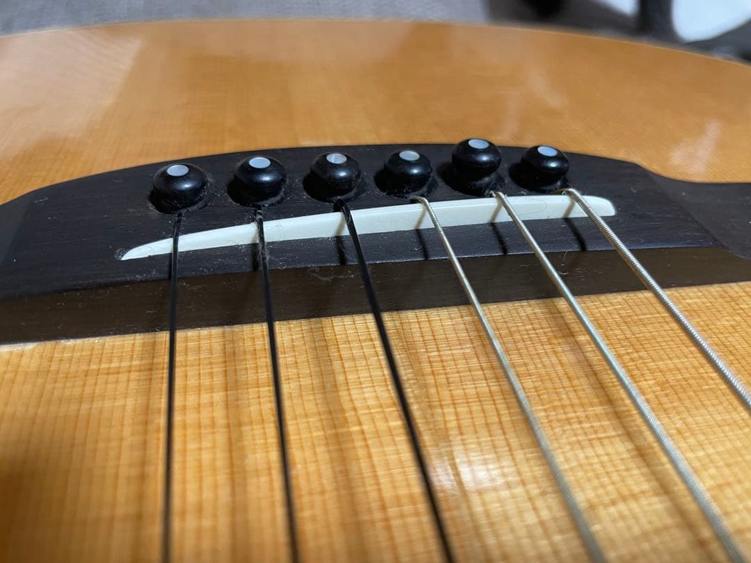 Lakewood A-45 Custom Ziricote Europian - メルカリ