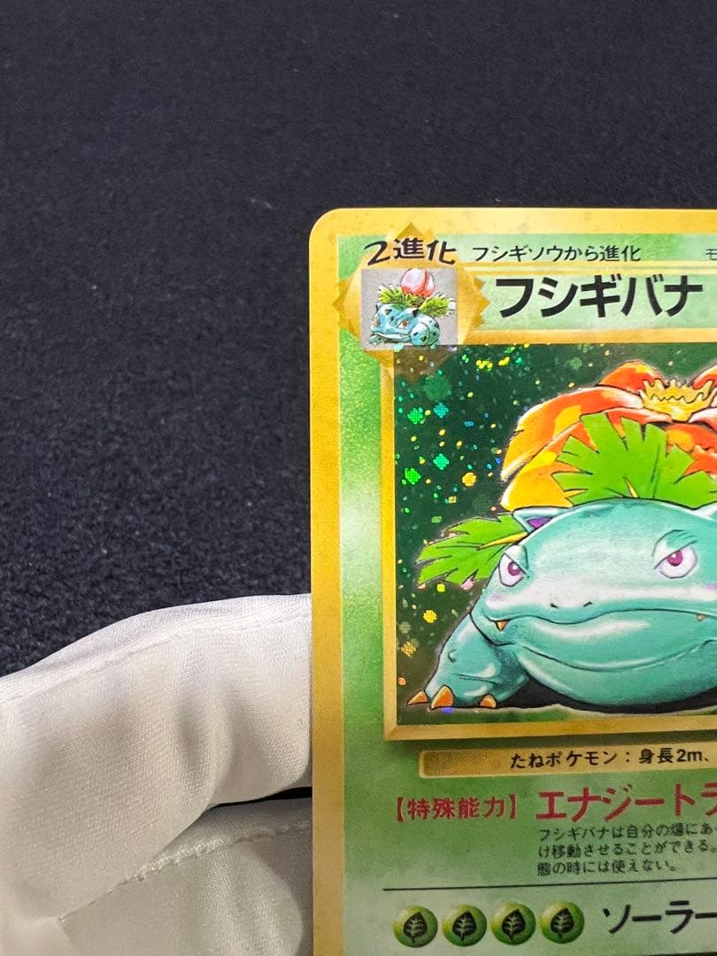 フシギバナ ★ 第1弾拡張パック　ポケカ　旧裏