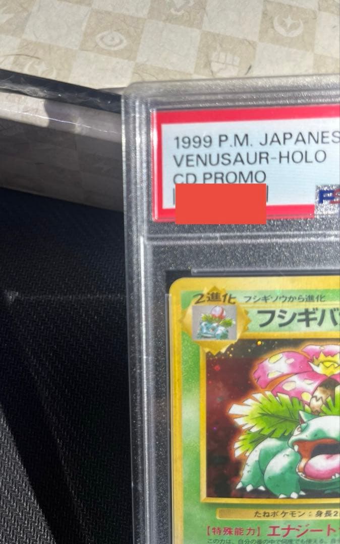 フジギバナ　旧裏　psa10