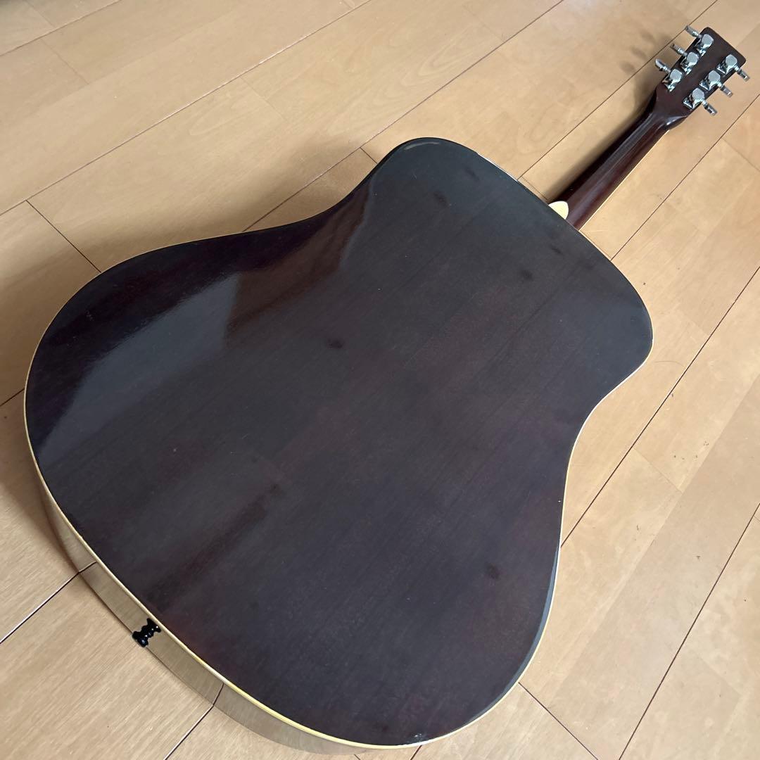 ぴょんたん様専用Cat's Eyas CE-200 東海楽器工房 - メルカリ