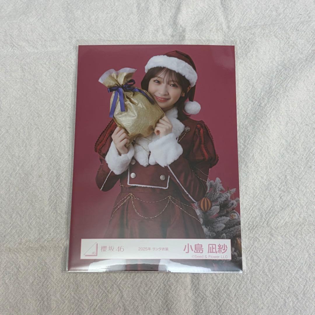 櫻坂46 小島凪紗 2025年サンタ衣装 - メルカリ