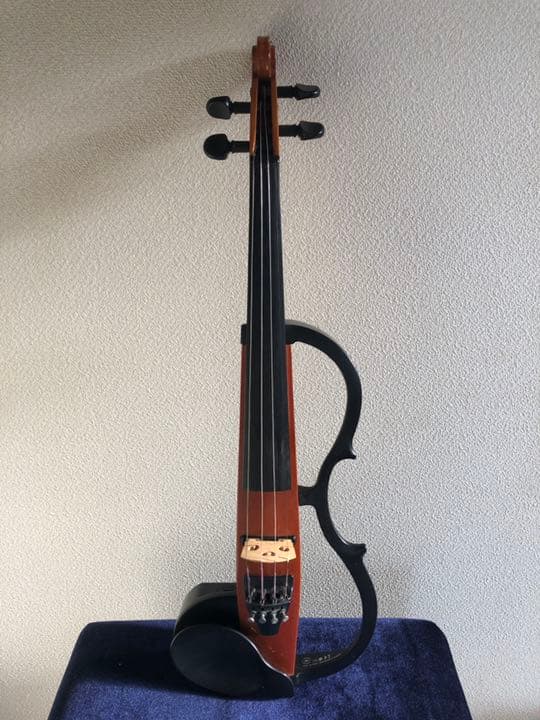 Violin | 種類 | プロ御用達のバイオリン専門店 -WE LOVE MUSIC