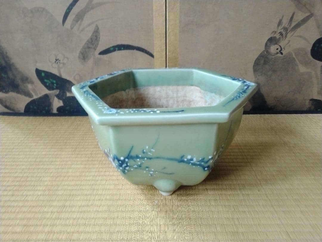染付青磁盆栽鉢 尾張焼 瀬戸焼 蘭鉢 骨董 園芸 ガーデニング 茶道具