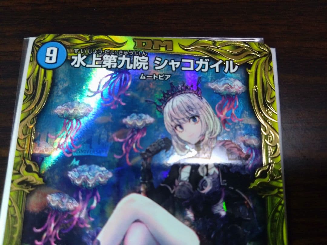 水上第九院　シャコガイル　b