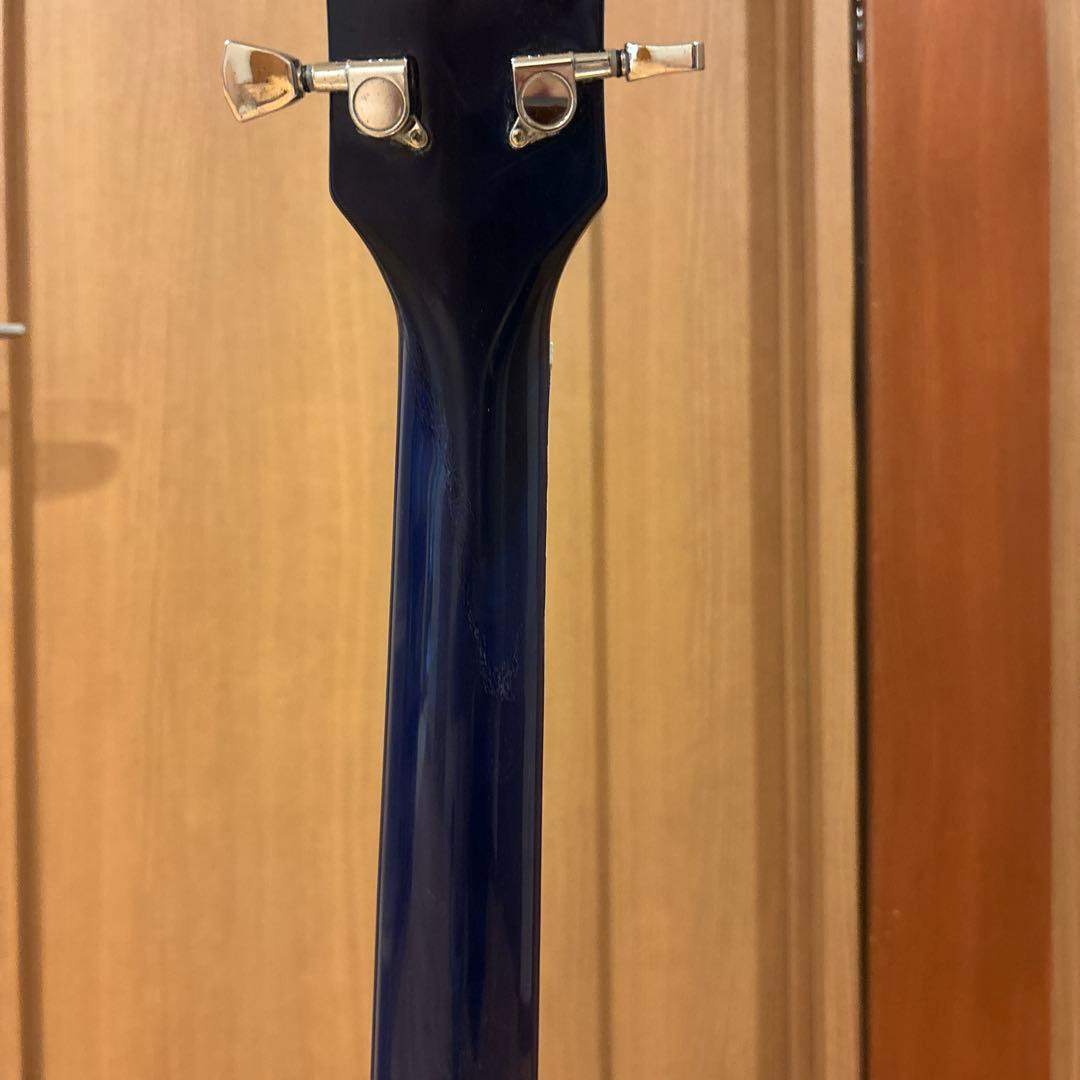 Bacchus Live Road レスポールタイプ ブルーカラー - メルカリ