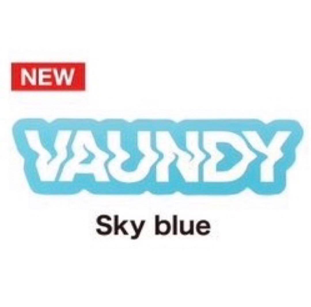VAUNDY バウンディ グッズ フェス ステッカー - メルカリ
