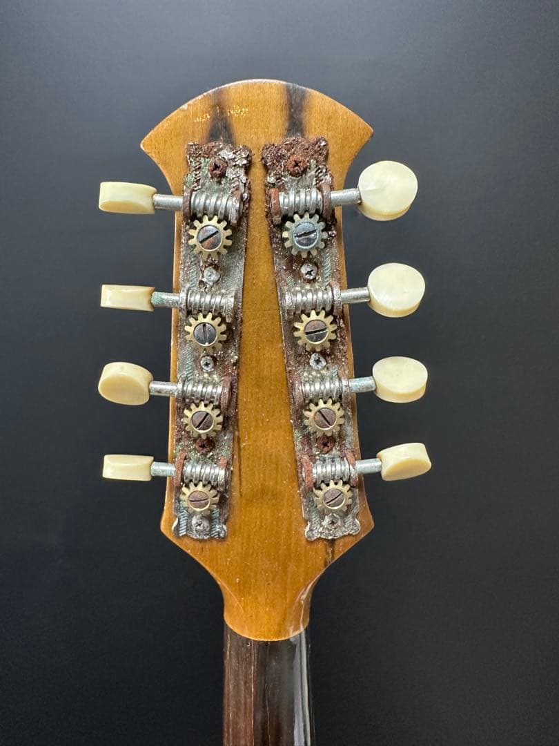 鈴木バイオリン マンドリン Suzuki Mandolin 203 ケース付き