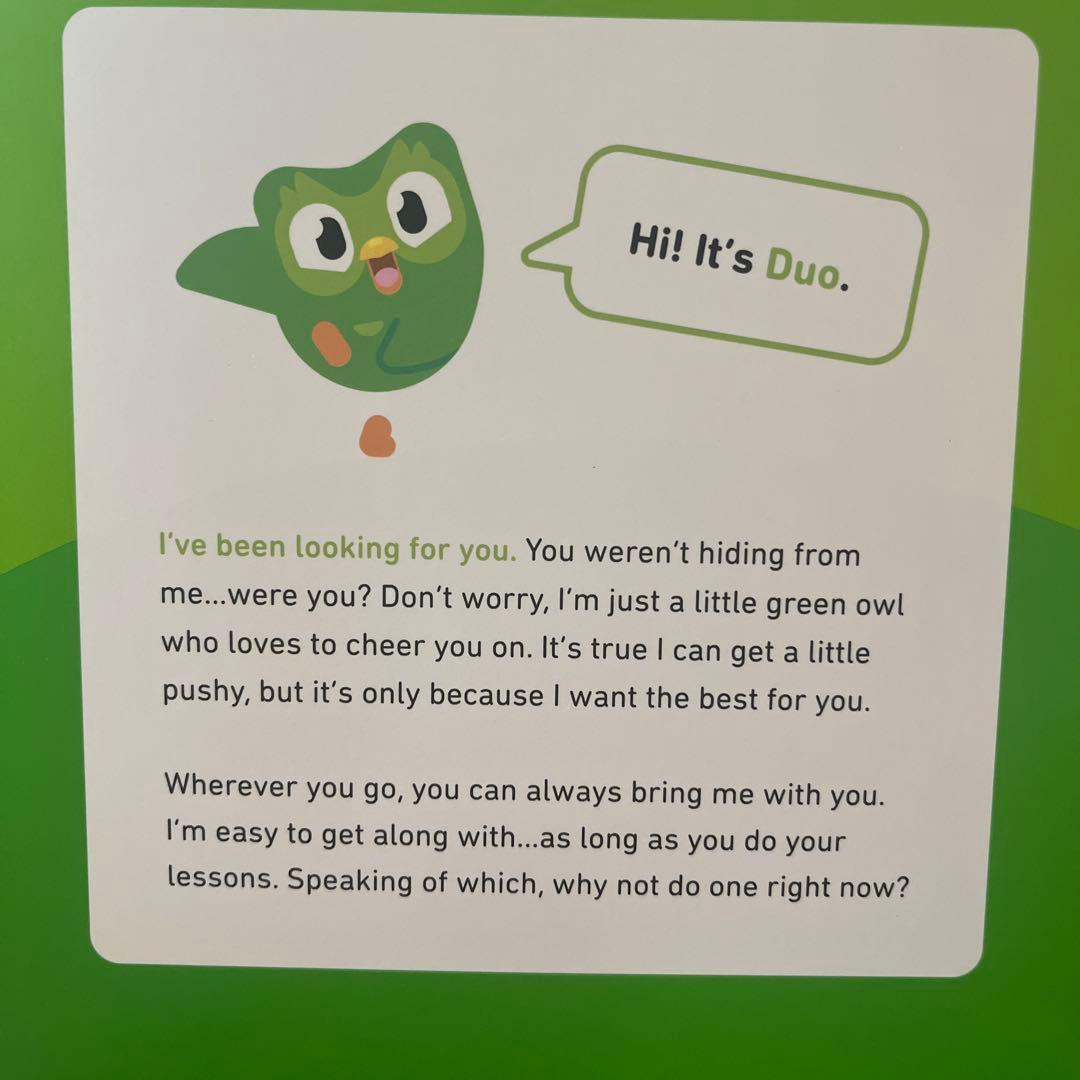 【公式】Duolingo Duo ぬいぐるみ