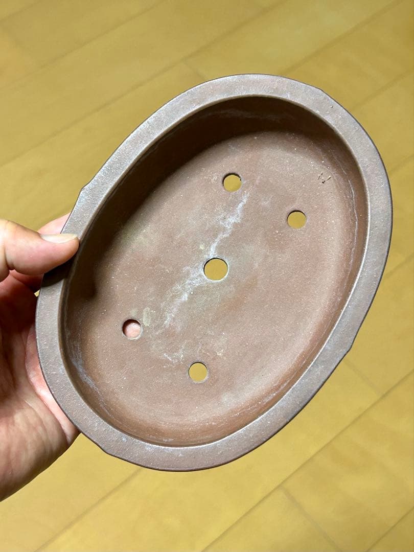 【盆栽鉢】中国宜興 朱泥 額入雲脚 楕円鉢