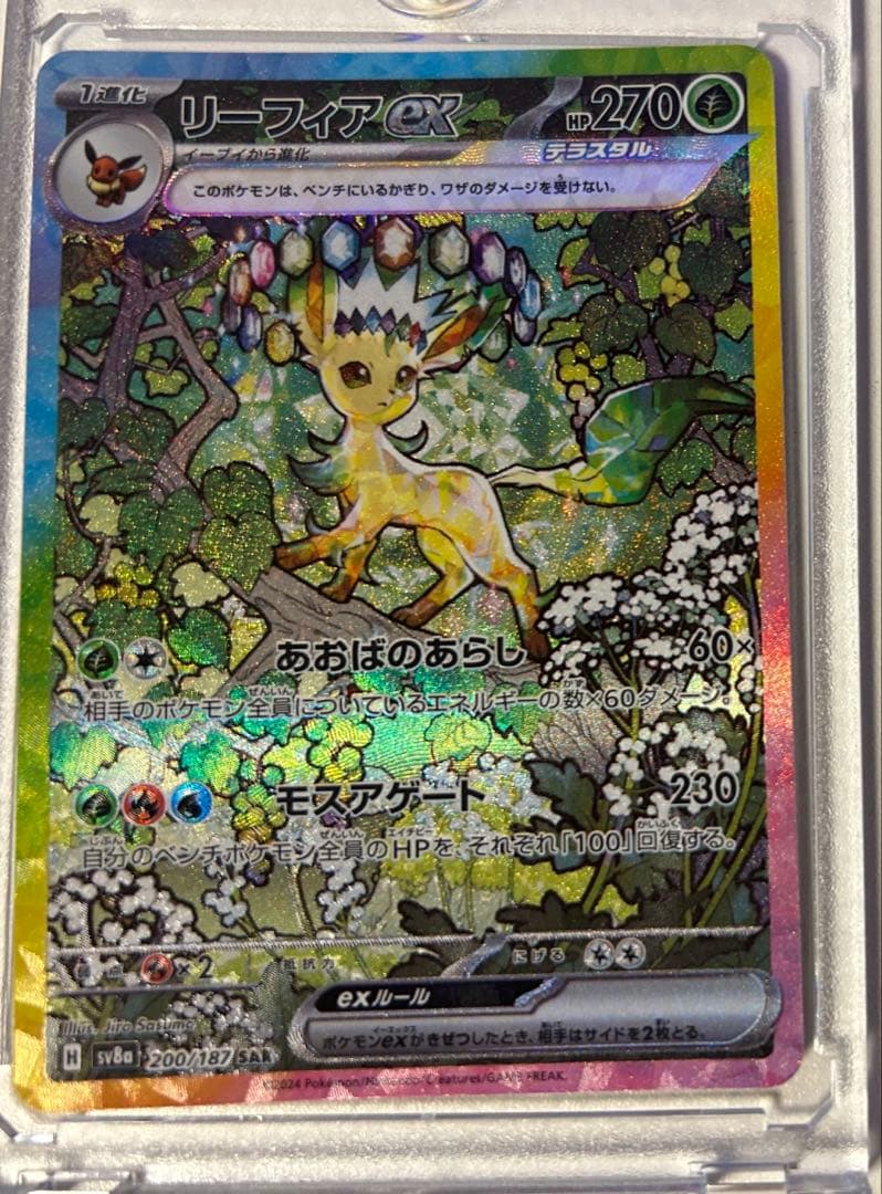 ポケモンカード テラスタルフェス ブイズ ex sar 9枚セット　ブラッキー