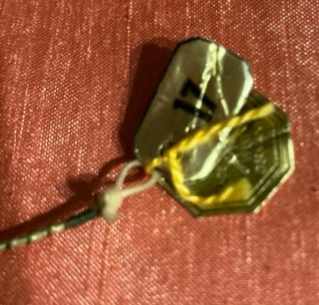 オリーブ　ガット弦　ADG3本セット　新品未使用