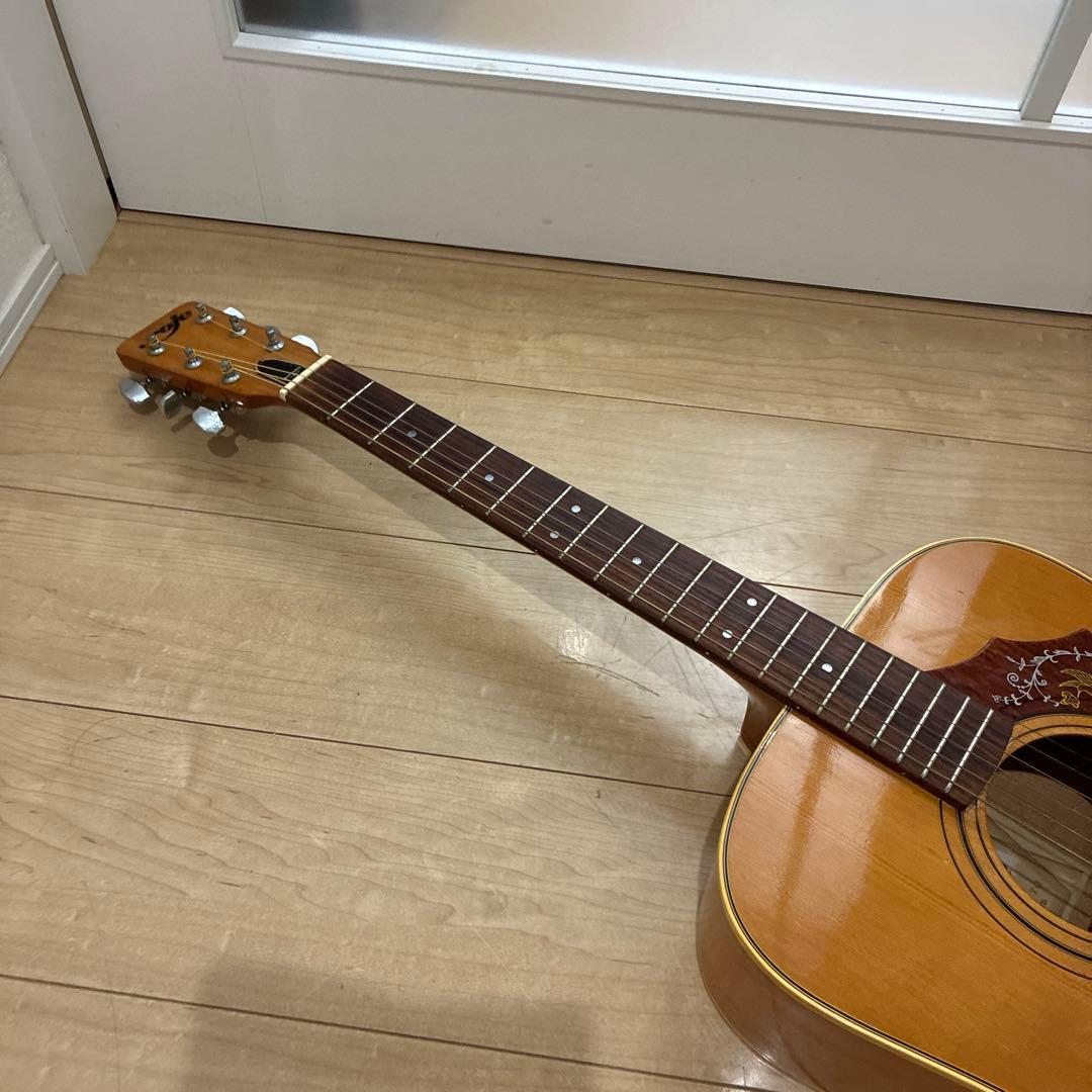 激レア ZENON roje 全音 アコースティックギター ハミングバードタイプ
