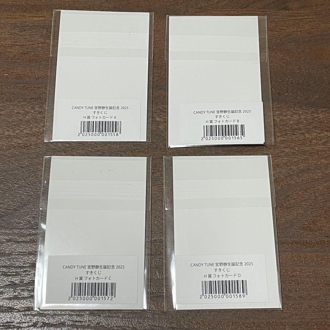 CANDY TUNE 宮野静 生誕記念2025 すきくじ チェキファイル フォト