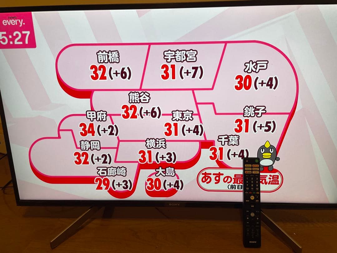 mugiちゃん専用 NO.2 VIERA 2台セット