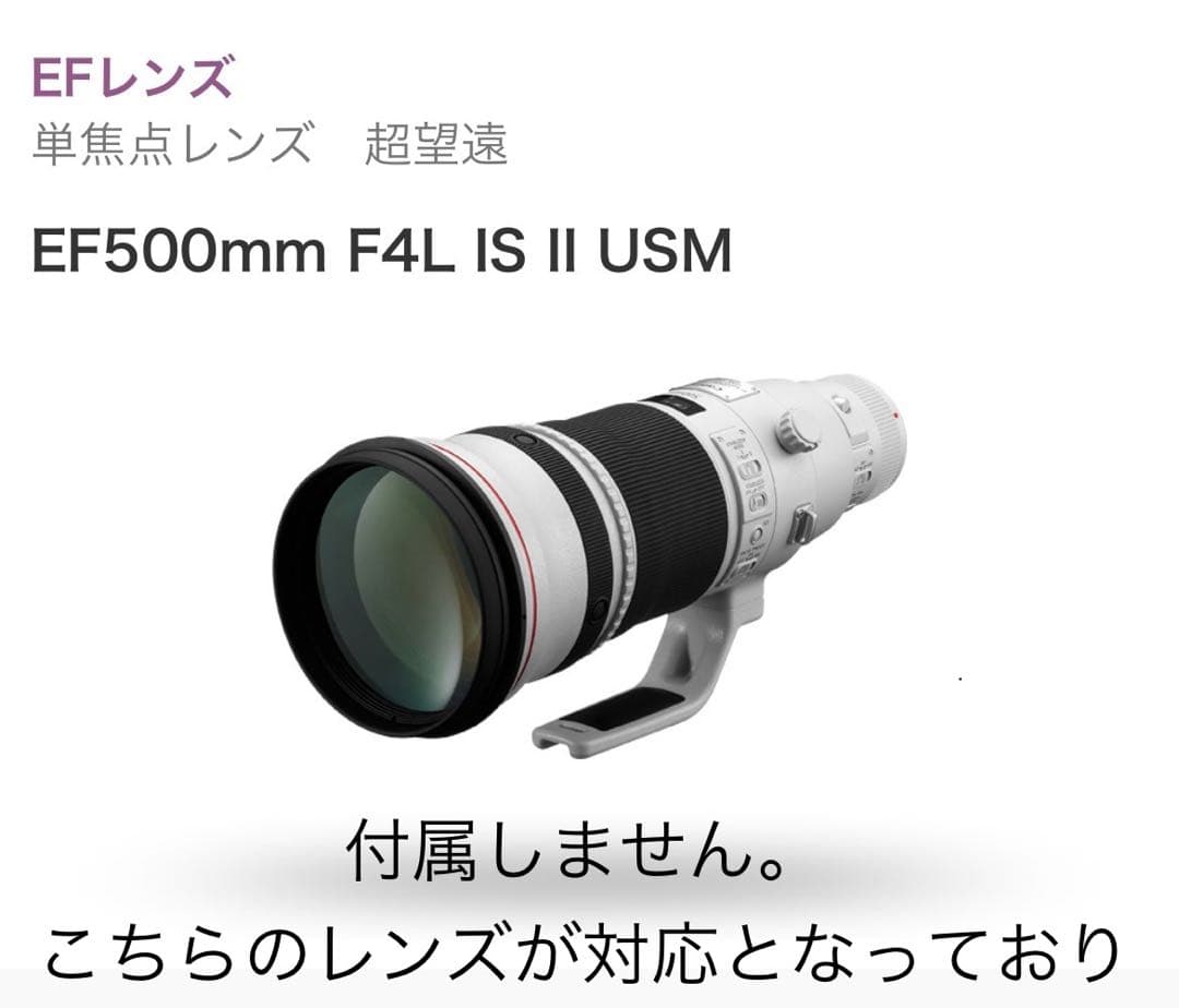 美品】廃盤 Canon レンズケース500B グレー EF500mm用