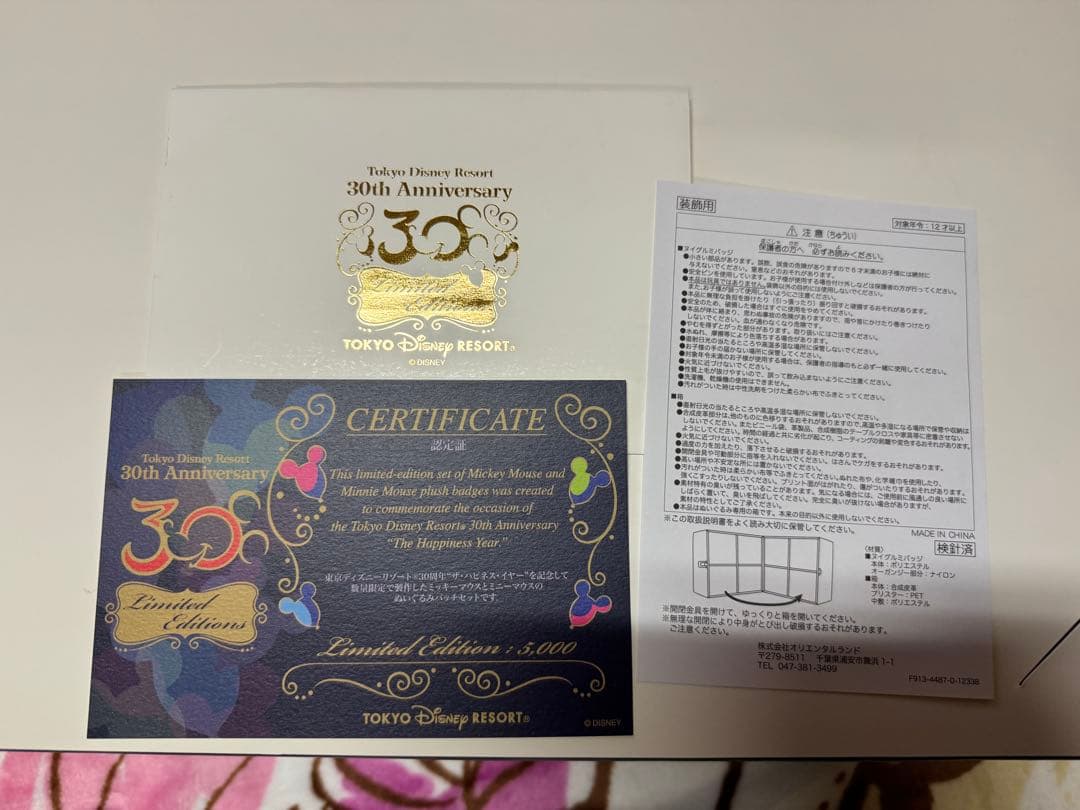 東京ディズニーリゾート30周年限定 ぬいばセット　ミッキー　ミニー　希少　レア