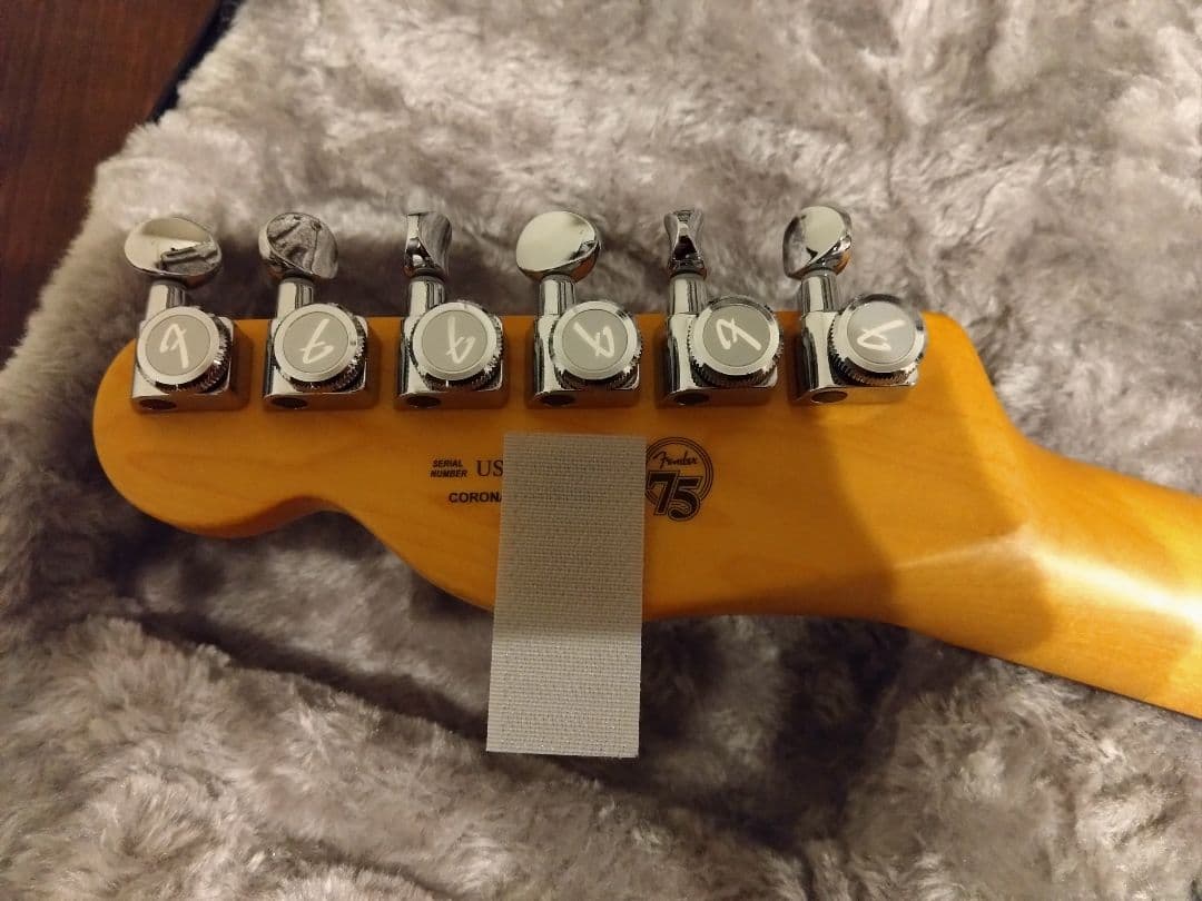 ※vivi　fender american professional ⅱ