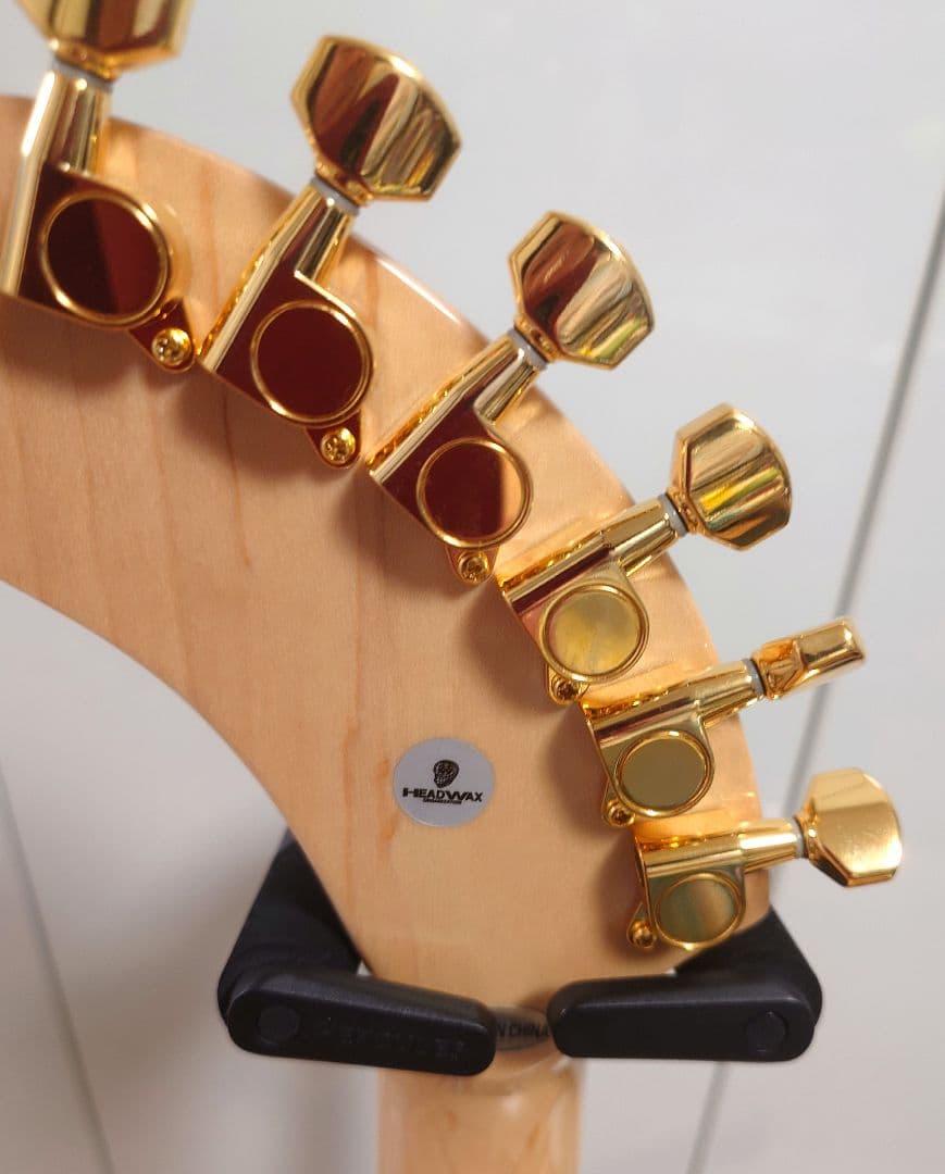 生誕特価】FERNANDES ZO-3 hide サイケ ハードケース付き