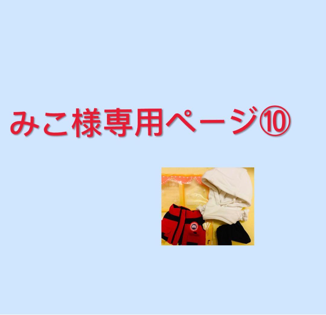 みこページ⑩ エクストラパック 第30弾 みこどるっ！ ｜ Z/X - Zillions of enemy X