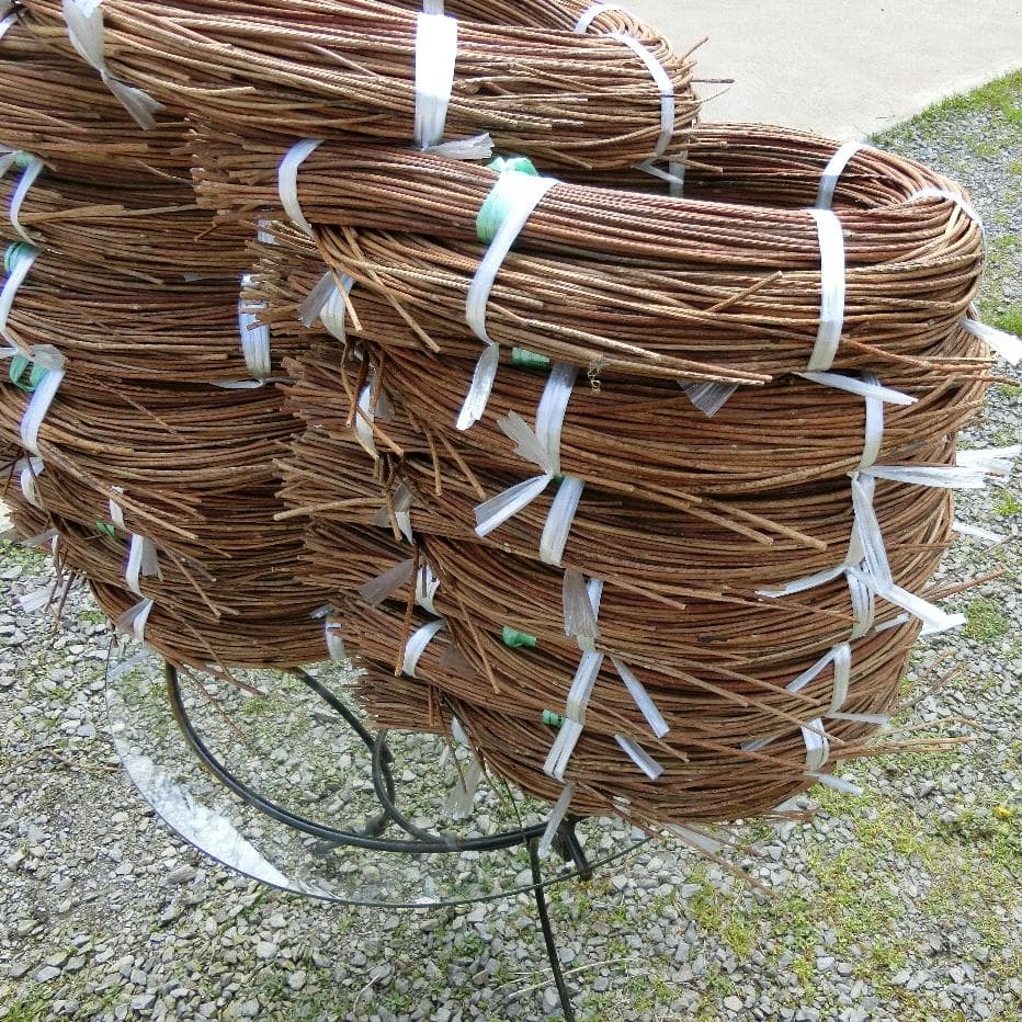 黄色いくまさん　青森岩木山採取　あけび蔓　150cm～ 15kg　2