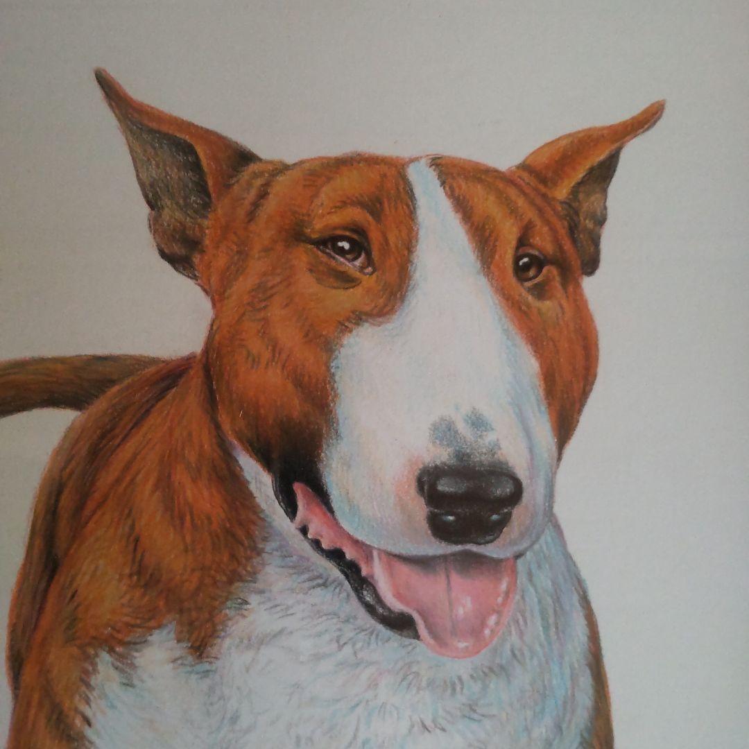 チャールズ・リン・ブラッグ　犬　色鉛筆画　5号