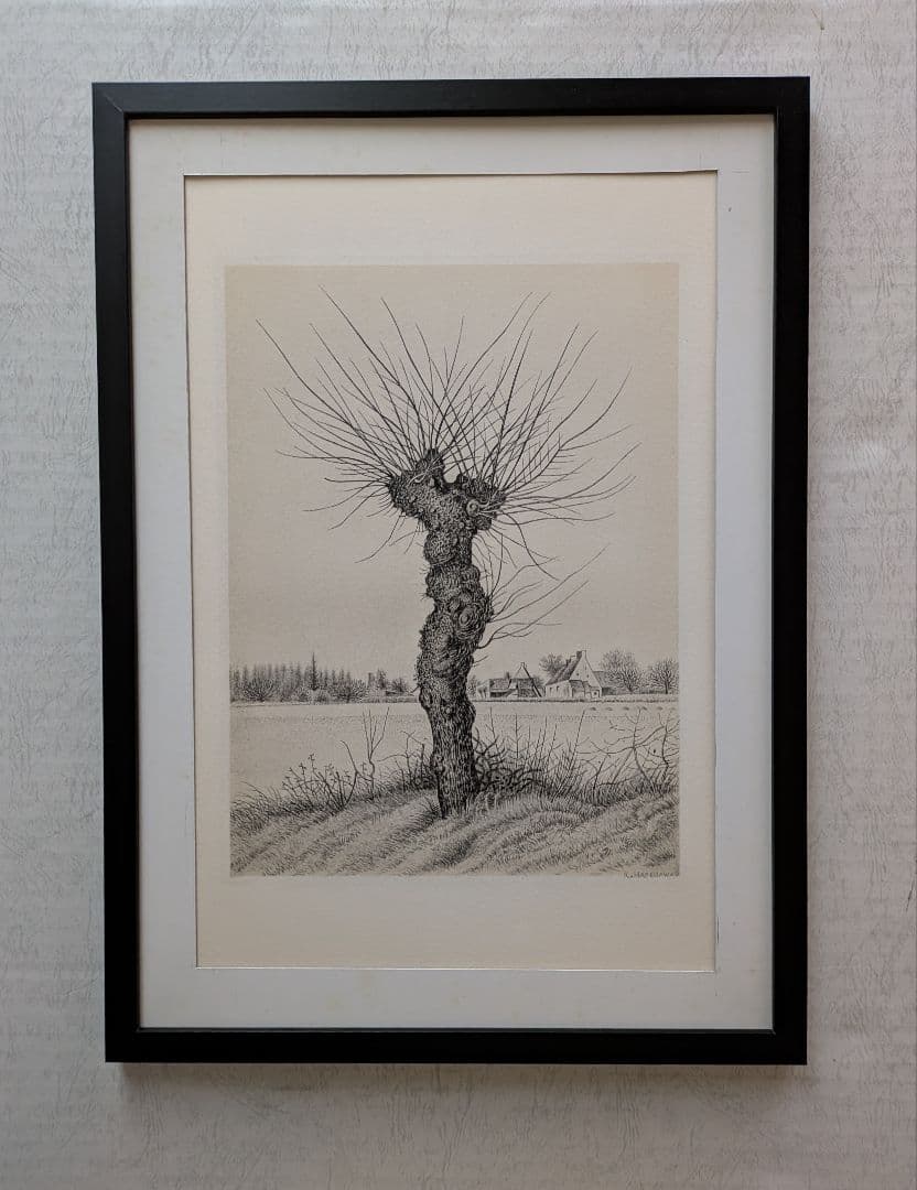 追加出品 Tt長谷川潔500部限定作品 「一樹・ニレの木」美品 - メルカリ