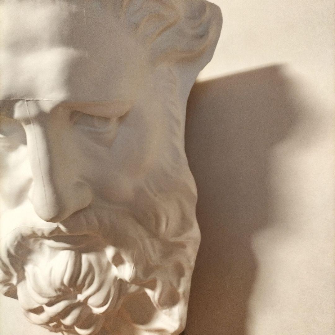 石膏像 モーゼ大顔面 チグリス大顔面 YOKOHAMA 岡石膏 美大受験 - メルカリ