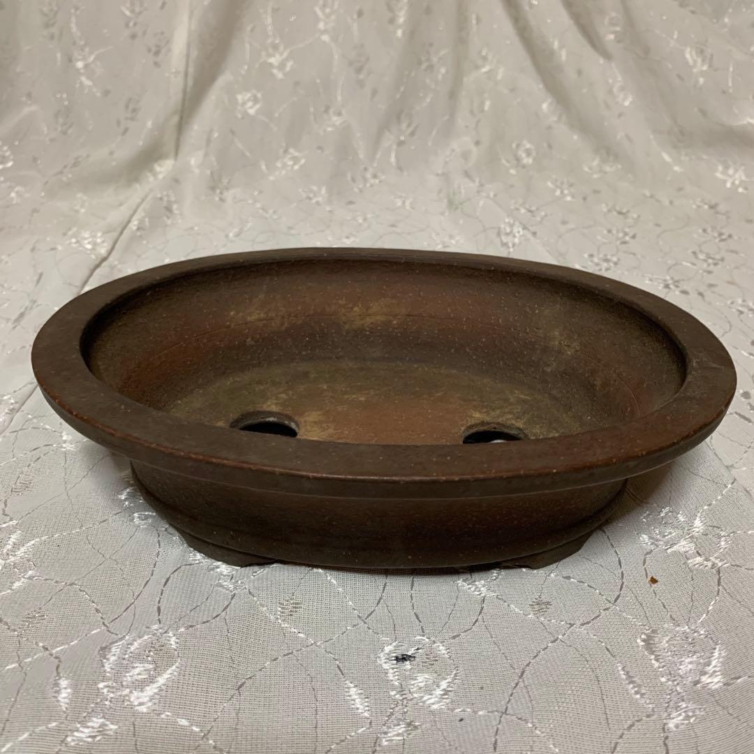 銭号　楕円　盆栽鉢