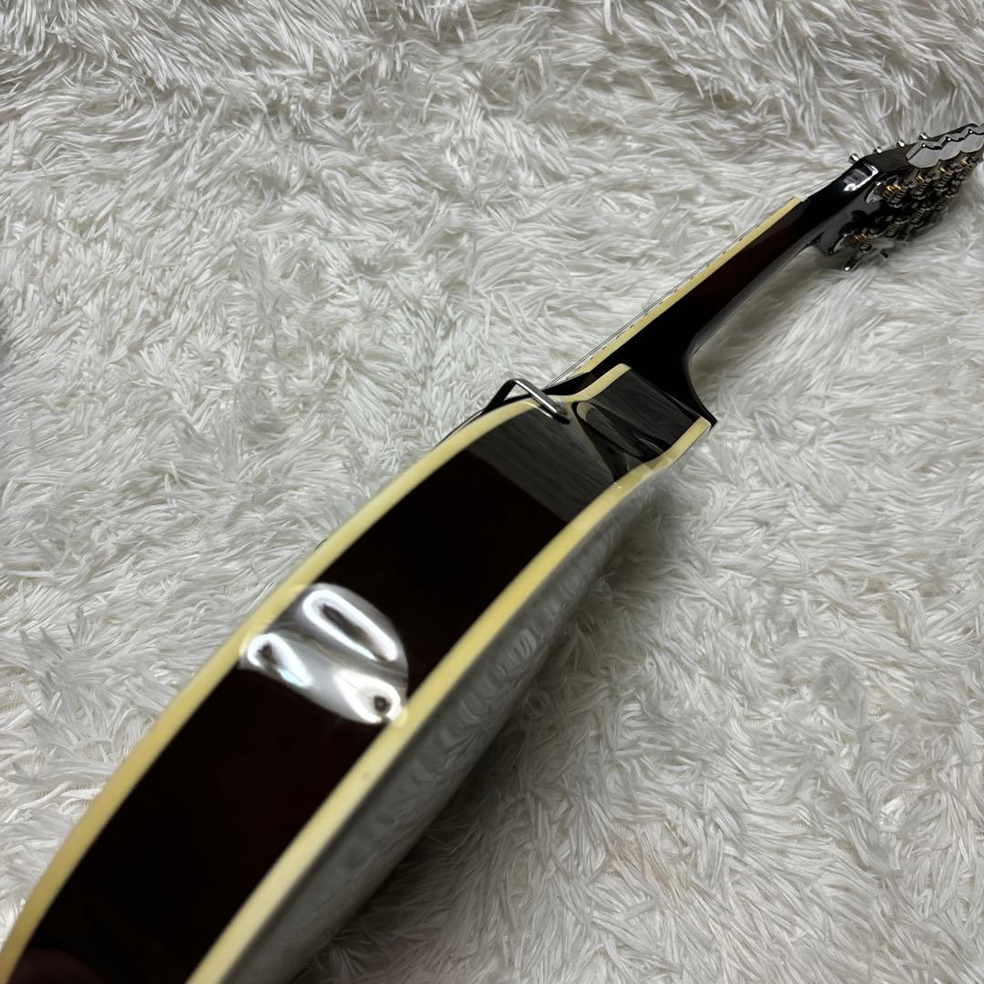 ibanez アイバニーズ マンドリン M510DVS 海外インポート ケース付