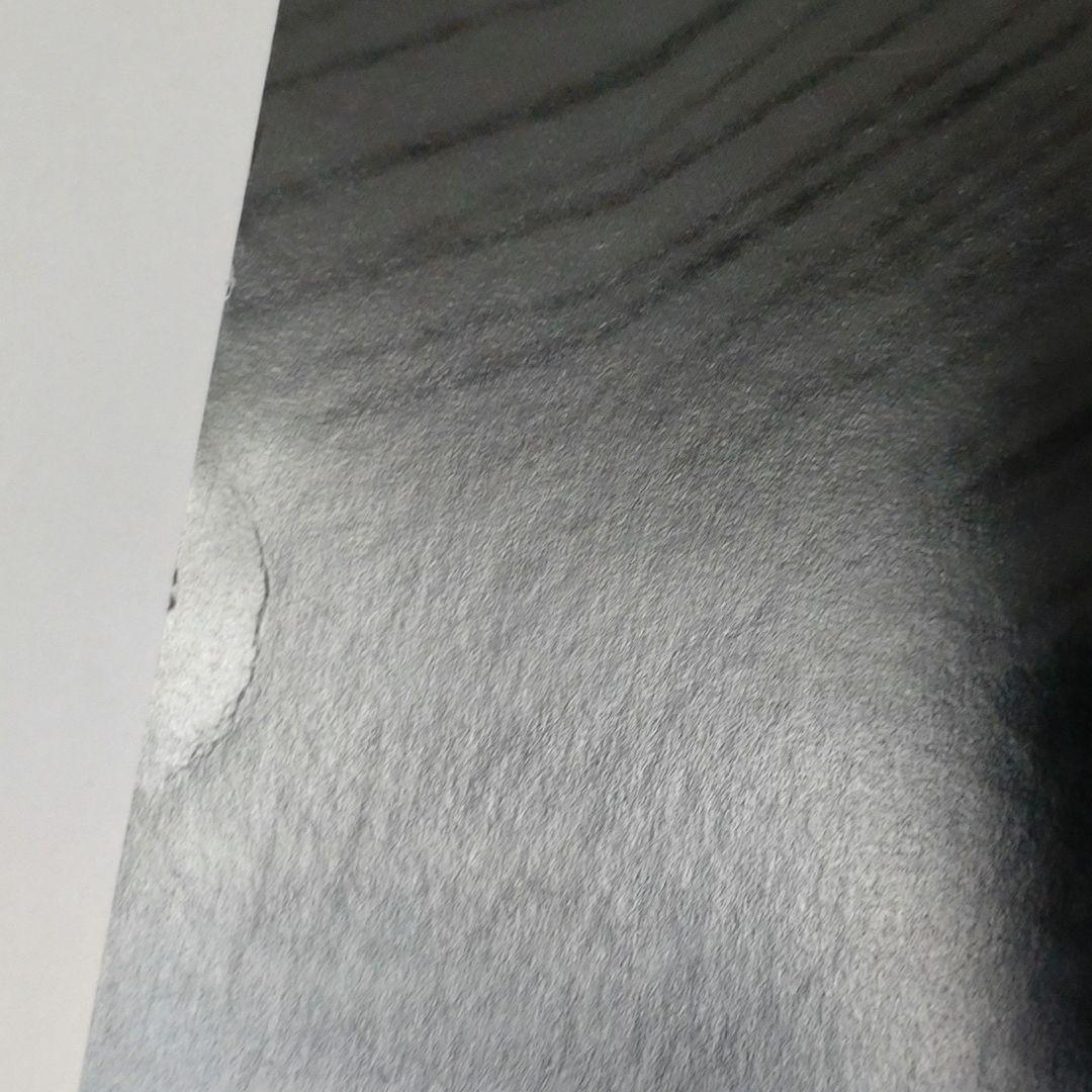 ken yokoyama DEAD AT BUDOKAN ポスター