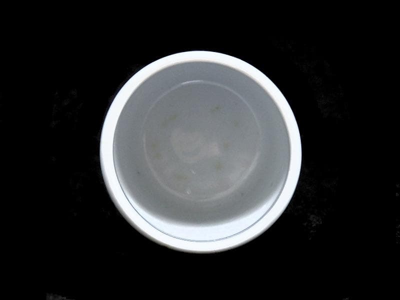 古伊万里　染付　雪持ち笹の図　猪口　のぞき ５客　A787AS-CBb