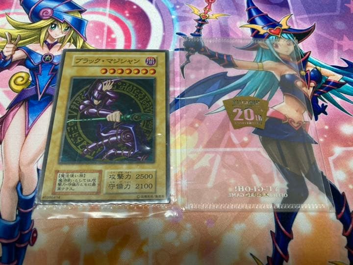 ブラックマジシャンガール　ブラックマジシャン　セット　ステンレス　プリシク