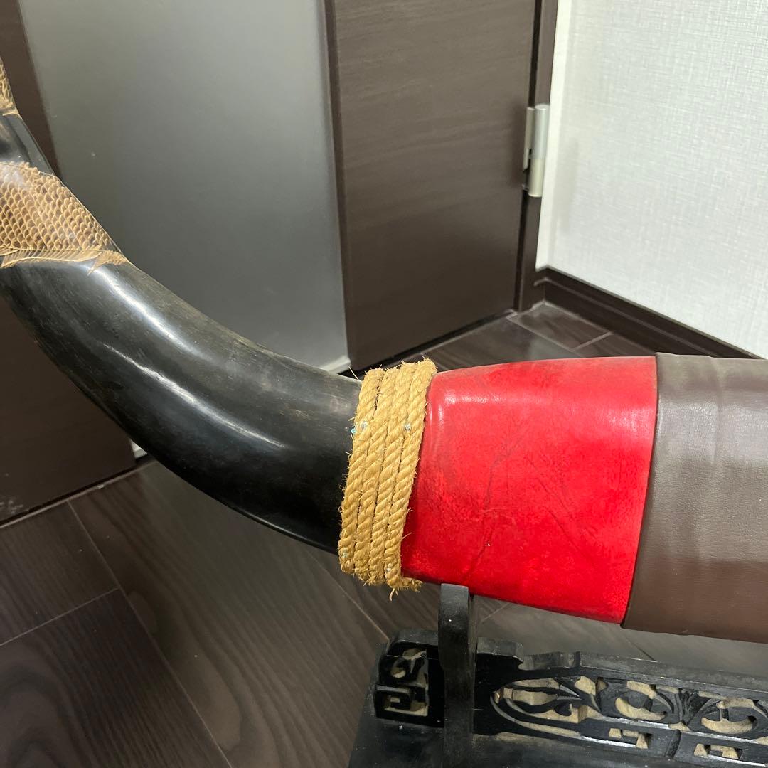 【水牛の角】《専用台付き》