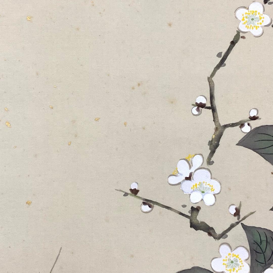 掛軸 金武翠輝 名花十友 共箱 66.6×195.4cm A-23