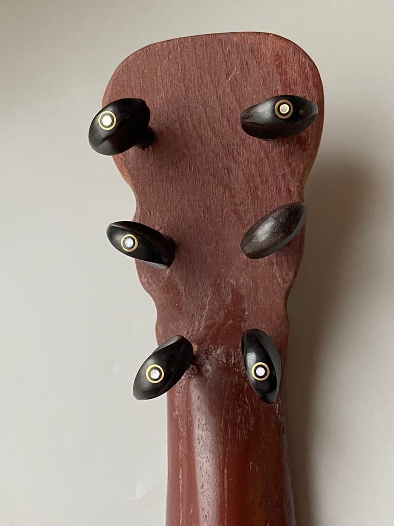 超個性派フレットレスギター 三味線ボディ×魚皮張り ショートスケール