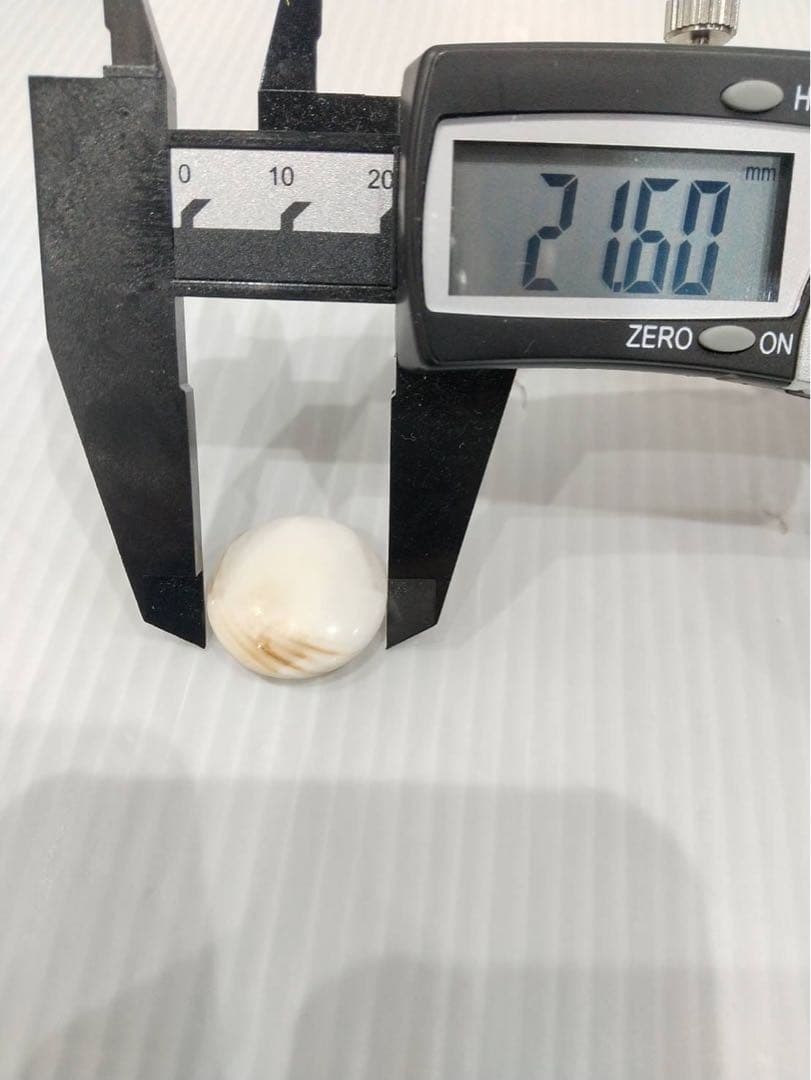 天然木 囲碁盤 蛤碁石セット 脚付 ヘソあり　5寸