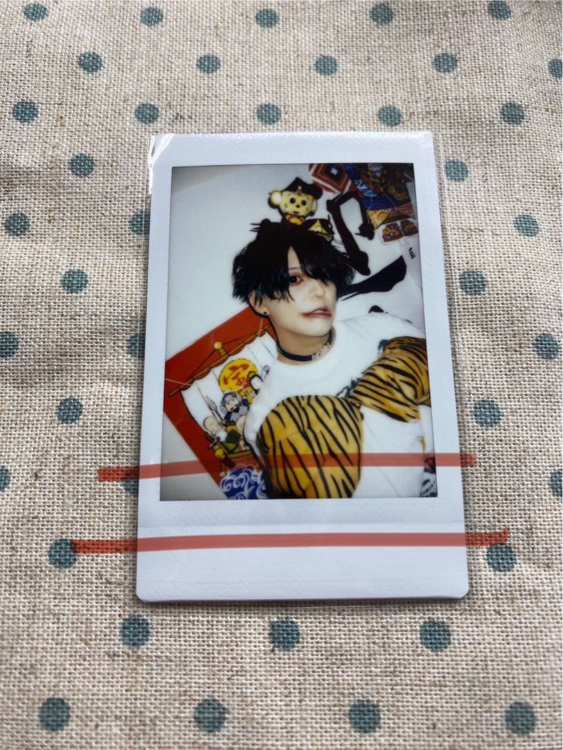 スピッツ ファンクラブ 年賀状 1996年 スピッツベルゲン spitz latalis.de