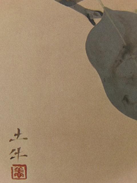 奥村土牛、【みかん】、希少な大判額装用画集より、新品高級額装付、豪華限定版