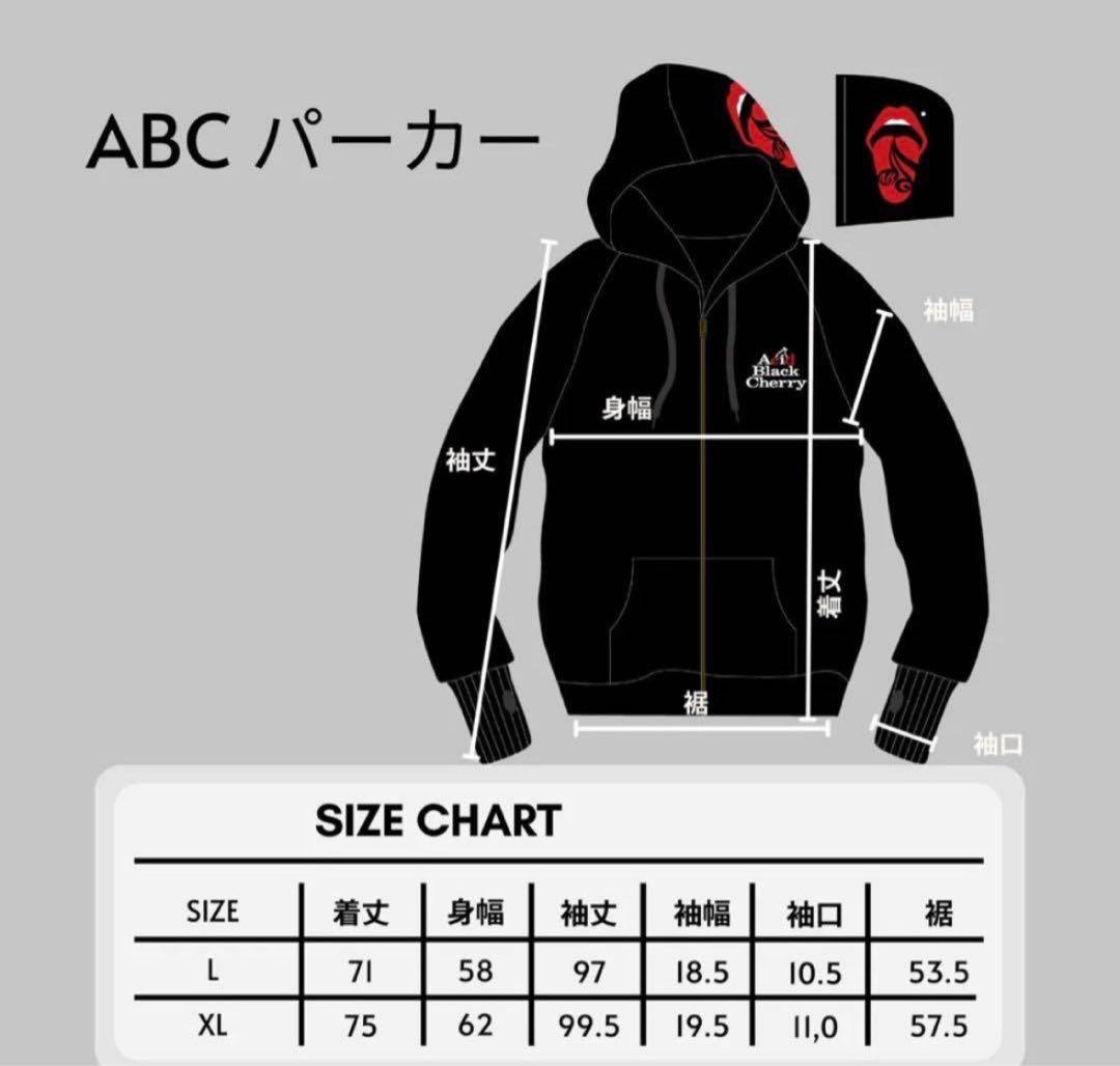 Acid Black Cherry 初代 パーカー サルエル セット yasu Acid Black