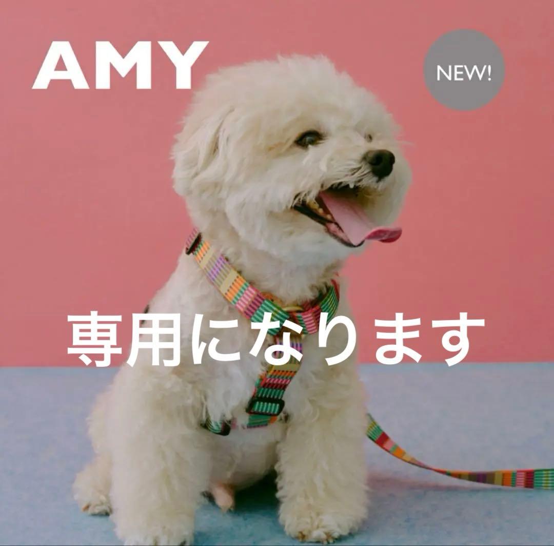 タグ付き】 ciiron TOKYO AMY(エイミー) ハーネス
