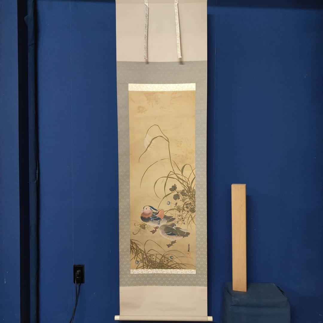 真作/芳翠/秋草鴛鴦図/オシドリ/花鳥/布袋屋掛軸A-519