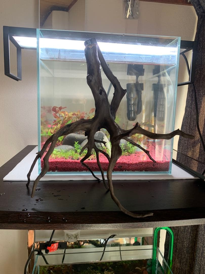 流木と超透明ガラス水槽（30×30cm）セット - メルカリ