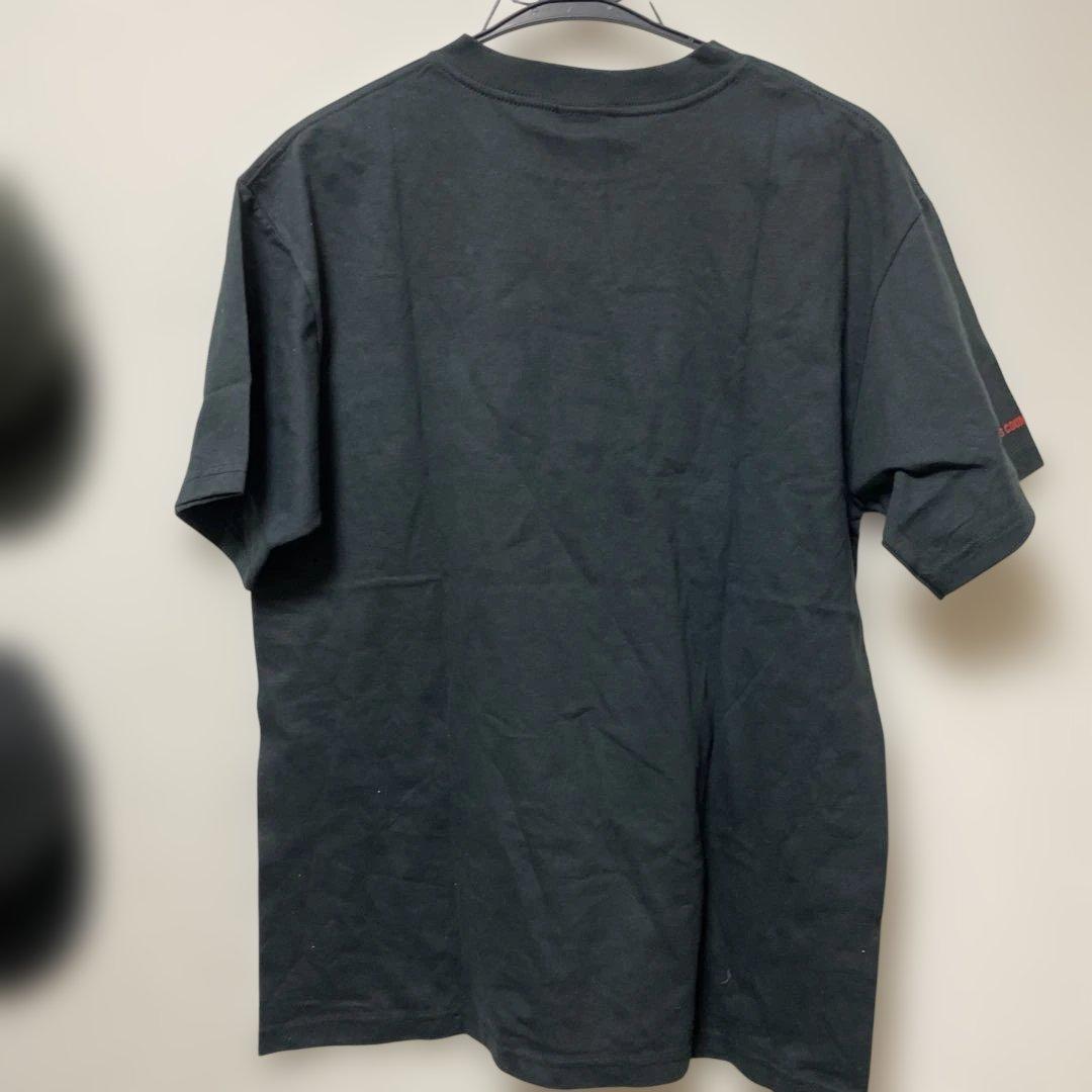 浜崎あゆみレアTシャツ 浜崎あゆみ Team Staff Tシャツ Mサイズ 2002