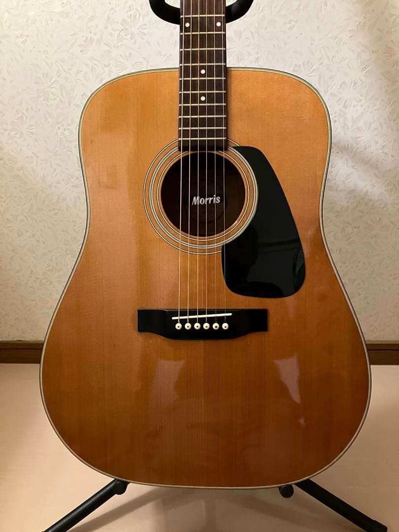 Morris モーリス アコースティックギター MD-501 ドレッドノート