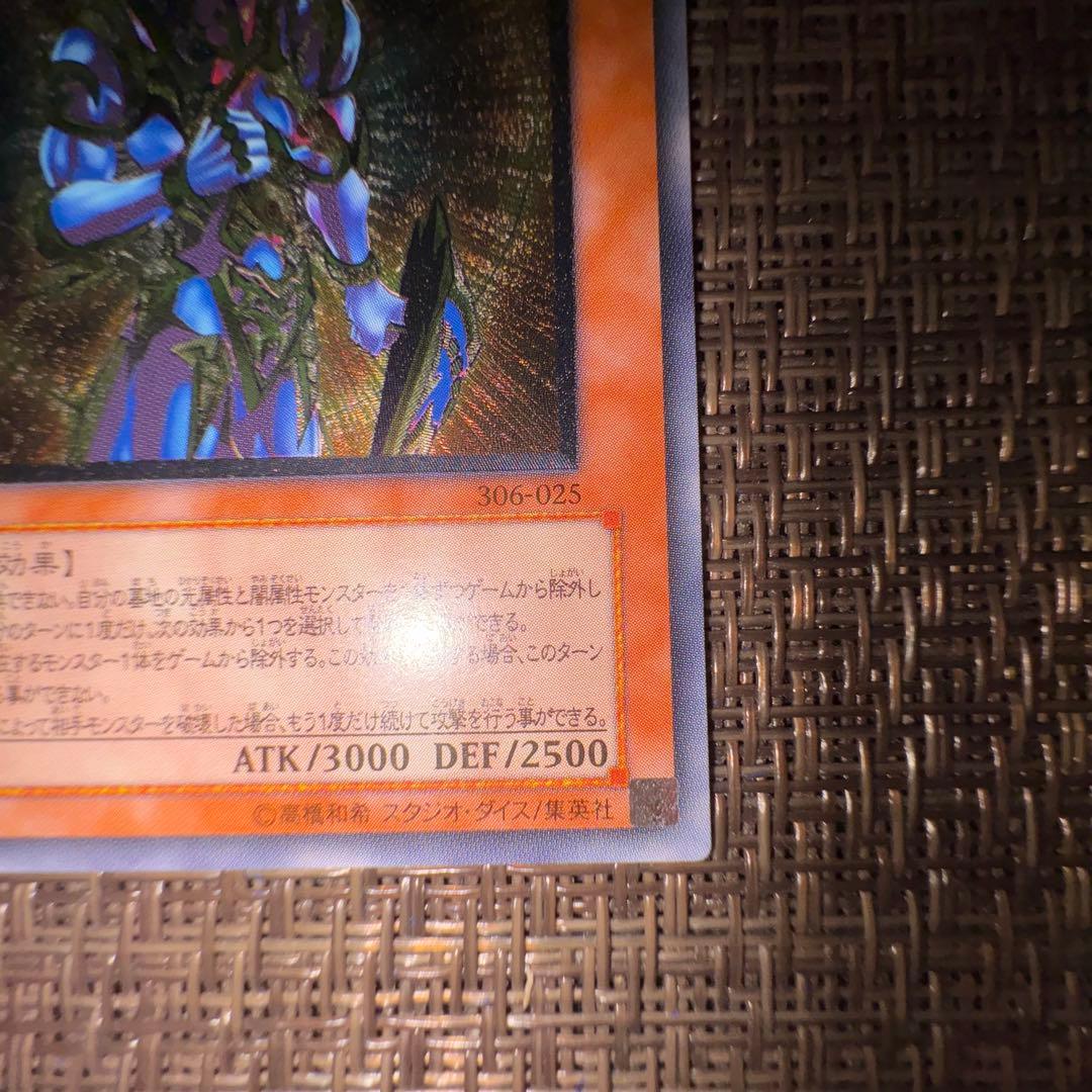 遊戯王　カオスソルジャー開闢の使者　レリーフ